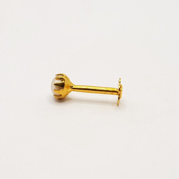 NP0219-4