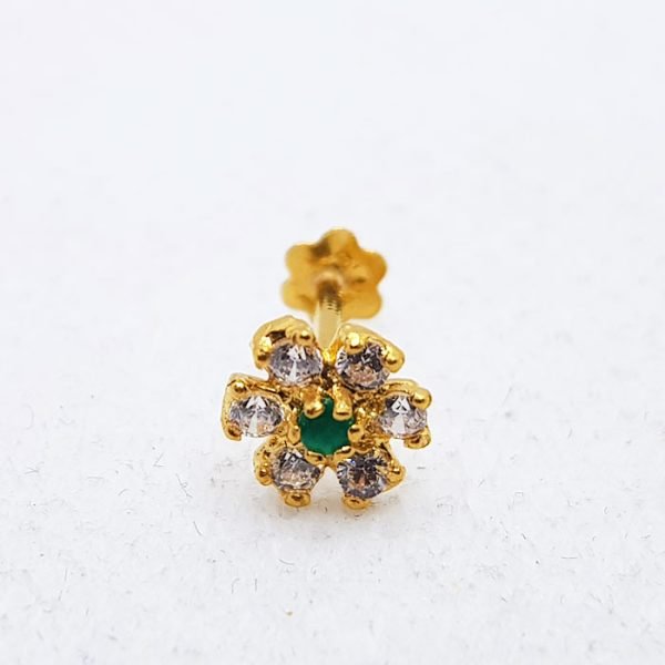 NP0259-1