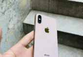 iPhone xs dual sim approved